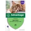 Advantage Advantage Kat 80 - Vanaf 4 Kilo 4 Pip 1 Advantage Advantage Kat 80 - Vanaf 4 Kilo 4 Pip -Huisdierbenodigdheden Verkoop advantage advantage kat 80 vanaf 4 kilo 4 pip