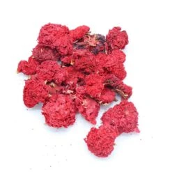 Herbimals Herbimals Granaatappelbloemen