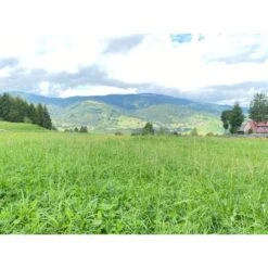 Herbimals Herbimals Pools Kruidenhooi