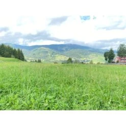 Herbimals Herbimals Pools Kruidenhooi -Huisdierbenodigdheden Verkoop herbimals herbimals pools kruidenhooi 6