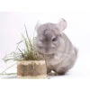 Herbimals Maand Abonnement Herbimals Kruidenbox - Chinchilla's -Huisdierbenodigdheden Verkoop herbimals maand abonnement herbimals kruidenbox ch