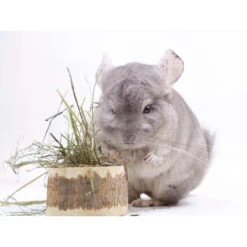 Herbimals Maand Abonnement Herbimals Kruidenbox - Chinchilla's