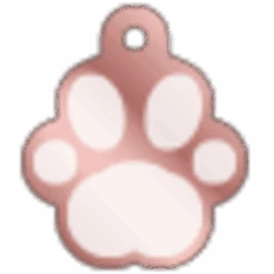 IMARC Hondenpenning - Pootvorm Rose Goud Met Zilver Groot