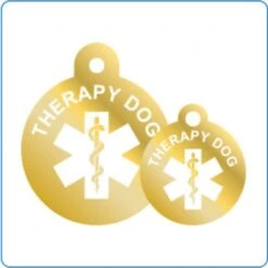 IMARC Hondenpenning - Rond - Therapy Dog - Goud -Huisdierbenodigdheden Verkoop imarc hondenpenning rond therapy dog goud 2