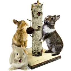 JR Farm JR Farm Back To Instinct Voerboom - 38x38x58 Cm