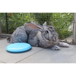 Keep It Cool Pakket - Konijn/Knaagdier -Huisdierbenodigdheden Verkoop keep it cool pakket konijn knaagdier 2