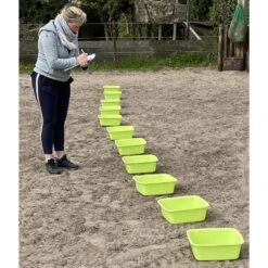 Kruidenbar Paard Op Locatie Inclusief 3 Maanden Begeleiding