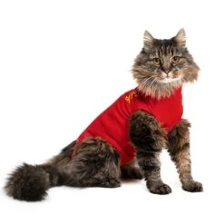 MPS Medical Pet Shirt Kat - 1 Stuk -Huisdierbenodigdheden Verkoop mps medical pet shirt kat 1 stuk 5