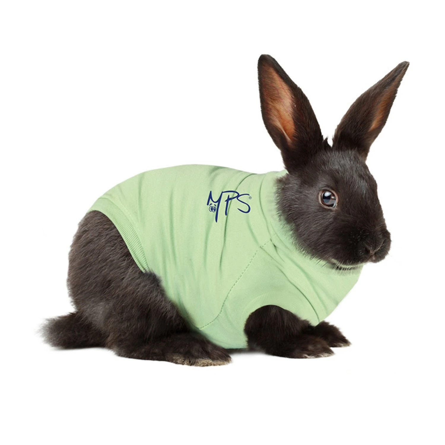 MPS Medical Pet Shirt Konijn - 1 Stuk 8 MPS Medical Pet Shirt Konijn - 1 Stuk - Afbeelding 6