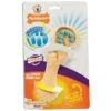 Nylabone Nylabone Dental Chew Bristle Brush Small -Huisdierbenodigdheden Verkoop nylabone nylabone dental chew bristle brush small
