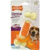 Nylabone Nylabone Dental Device Pro Active M - Tot 16 Kilo 2 Nylabone Nylabone Dental Device Pro Active M - Tot 16 Kilo -Huisdierbenodigdheden Verkoop nylabone nylabone dental device pro active m tot 1