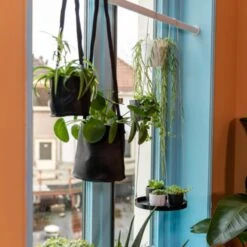 Telescopische Planten Roede - Zwart - L -Huisdierbenodigdheden Verkoop telescopische planten roede zwart l 3