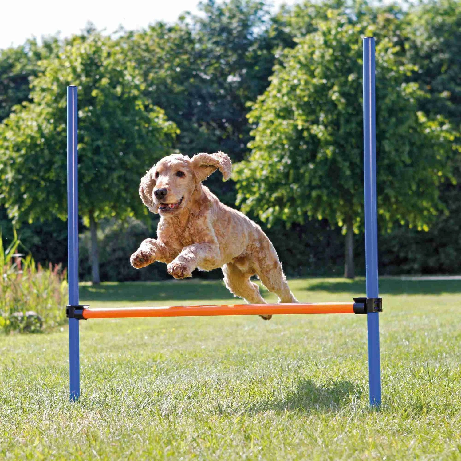 Trixie Trixie Agility Horde - 123 × 115 Cm - ø 3 Cm 6 Trixie Trixie Agility Horde - 123 × 115 Cm - ø 3 Cm - Afbeelding 4