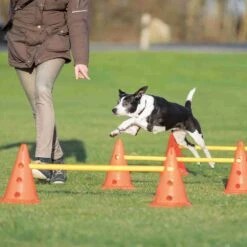 Trixie Trixie Agility Hordenset -Huisdierbenodigdheden Verkoop trixie trixie agility hordenset 6